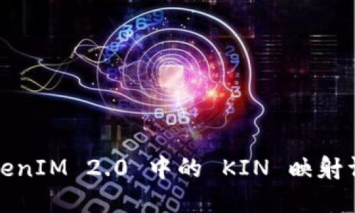 TokenIM 2.0 中的 KIN 映射详解