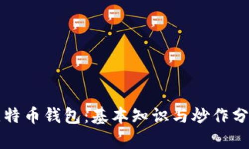 比特币钱包：基本知识与炒作分析