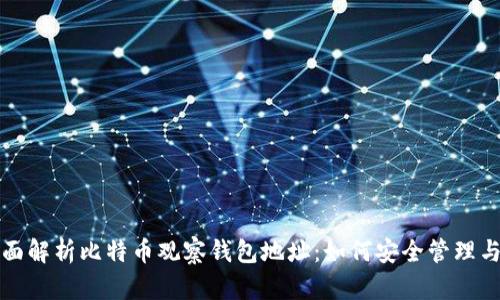 : 全面解析比特币观察钱包地址：如何安全管理与使用