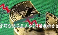 TP钱包支付密码忘记了怎么