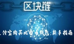 如何使用支付宝购买比特