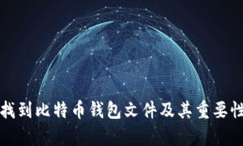 如何找到比特币钱包文件及其重要性分析
