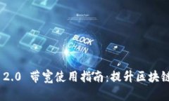 TokenIM 2.0 带宽使用指南：
