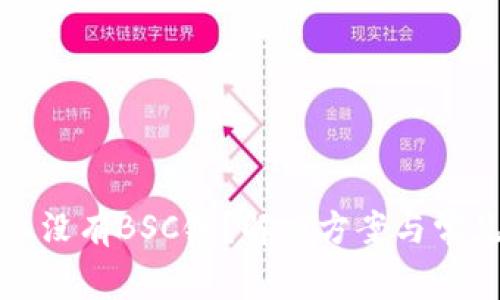 TP钱包怎么没有BSC链？解决方案与常见问题解析