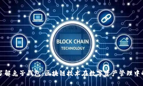 深入了解兔子钱包：区块链技术在数字资产管理中的应用