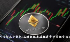 深入了解兔子钱包：区块