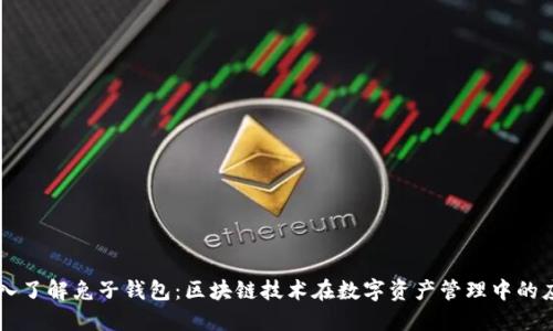 深入了解兔子钱包：区块链技术在数字资产管理中的应用