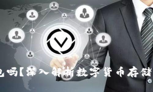 USDT必须使用钱包吗？深入解析数字货币存储的安全性与便捷性