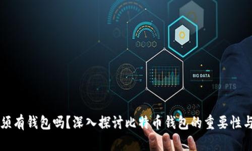 比特币必须有钱包吗？深入探讨比特币钱包的重要性与选择指南