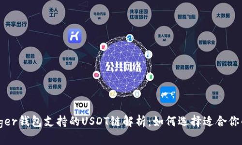 Ledger钱包支持的USDT链解析：如何选择适合你的链