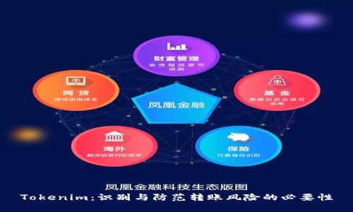 Tokenim：识别与防范转账风险的必要性