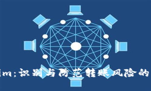 Tokenim：识别与防范转账风险的必要性