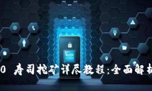 Tokenim 2.0 寿司挖矿详尽教程：全面解析与实战指导