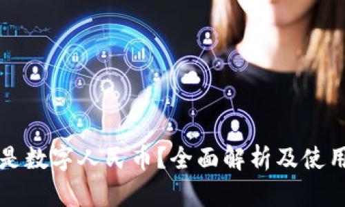 什么是数字人民币？全面解析及使用指南