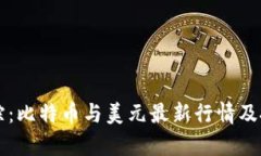 实时追踪：比特币与美元