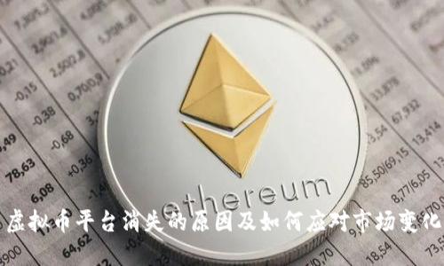 虚拟币平台消失的原因及如何应对市场变化