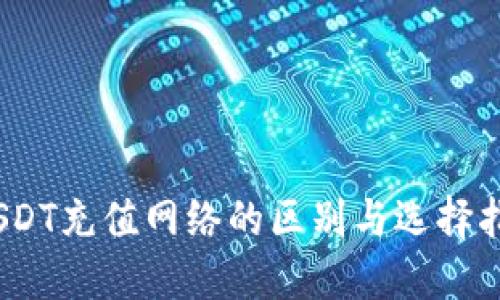 :USDT充值网络的区别与选择指南