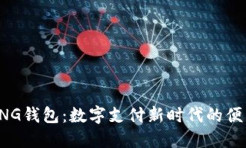 马来TNG钱包：数字支付新时代的便利选择