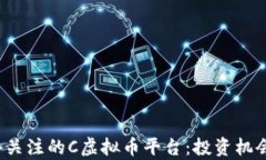 2023年最值得关注的C虚拟币