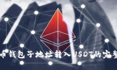 比特币钱包子地址转入USDT的完整指导