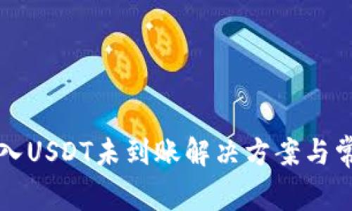 小狐钱包转入USDT未到账解决方案与常见问题解析